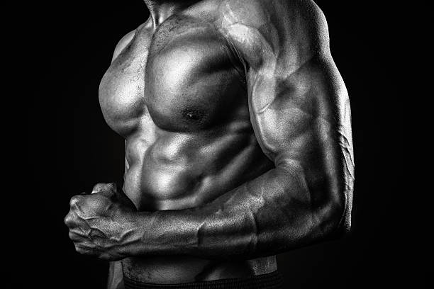诺龙 Nandrolone 介绍
