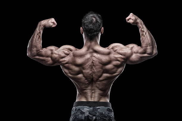 克伦特罗 Clenbuterol介绍